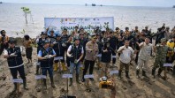 Hari Mangrove Sedunia 2026 di Siak, Bupati Usul Pemecah Ombak ke Pemerintah Pusat
