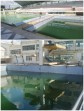 Kolam Aquatic Eks PON 2012 Rumbai Terbengkalai, Atlet Freedive Desak Pemprov Riau Bertindak