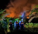 Api Kepung Sumur Minyak BSP, Bupati Siak Pimpin Pemadaman di Tengah Ancaman Harimau