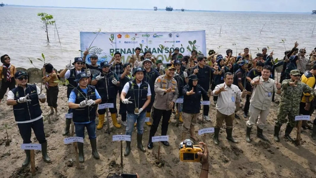 Hari Mangrove Sedunia 2026 di Siak, Bupati Usul Pemecah Ombak ke Pemerintah Pusat
